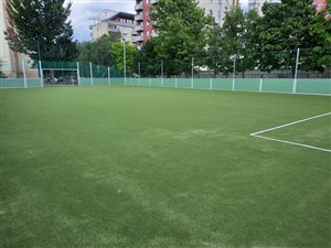 Ihrisko Nejedlého
